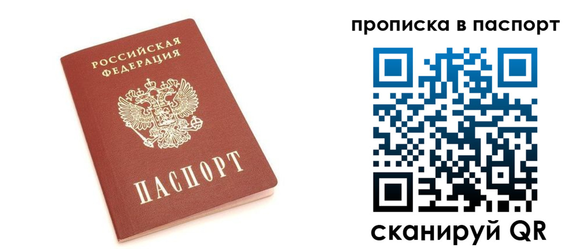 прописка в Мончегорске
